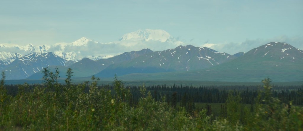 Denali - "The high one"