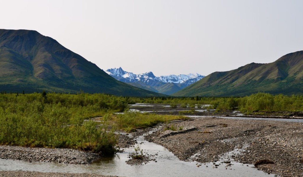 mtnVista