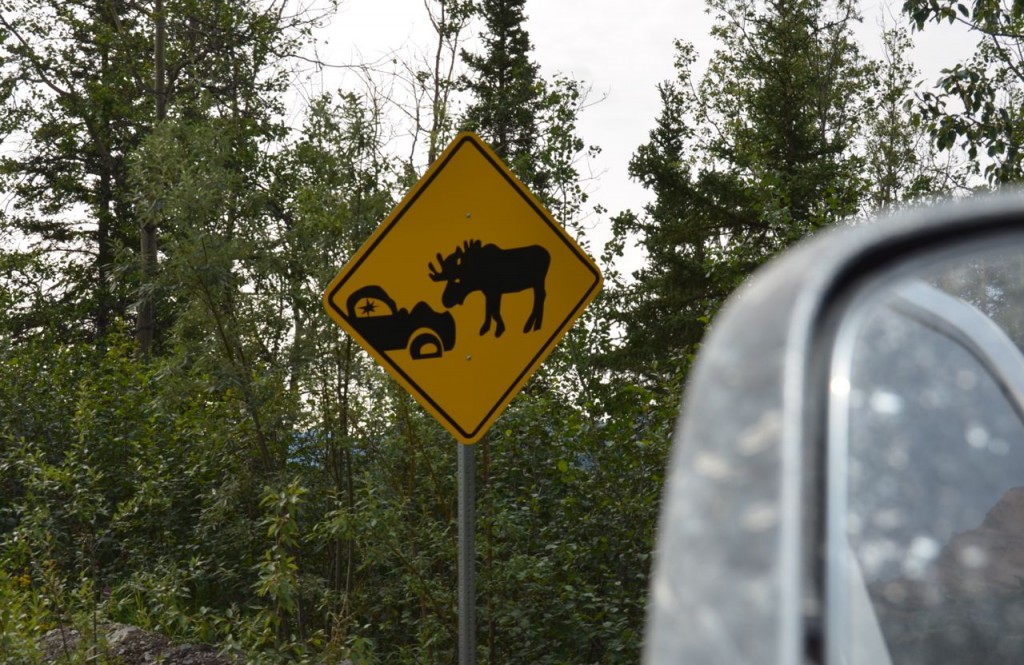 sign_moose