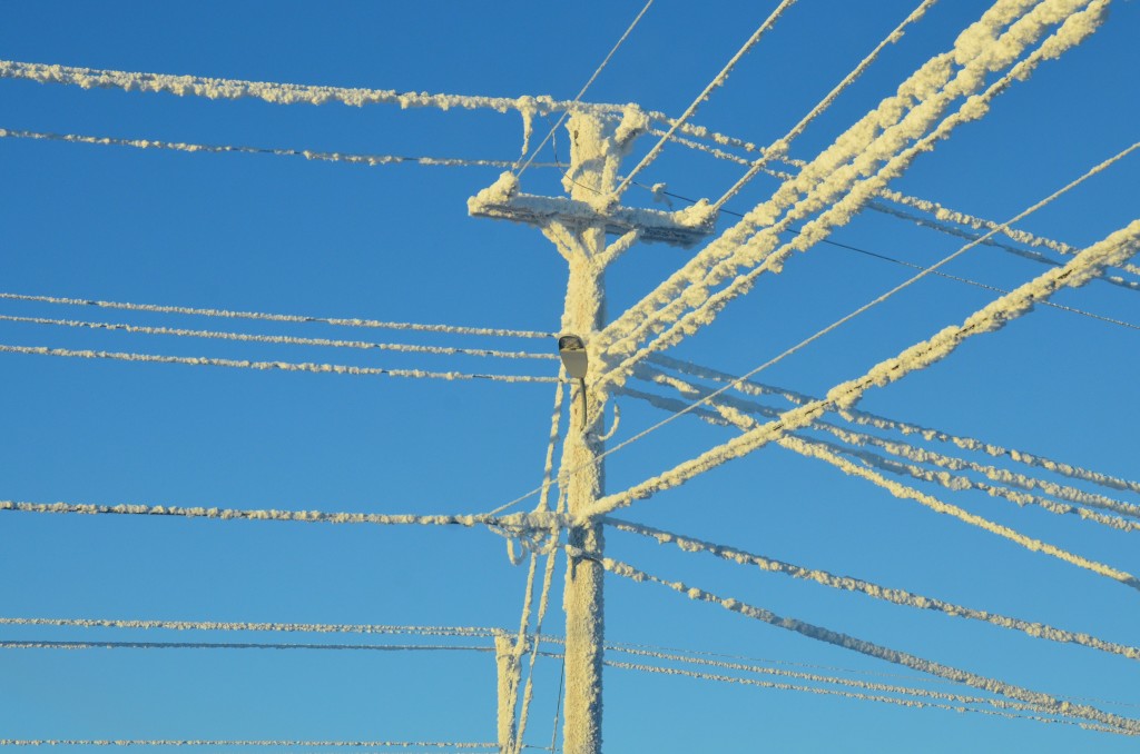 Frosty power lines