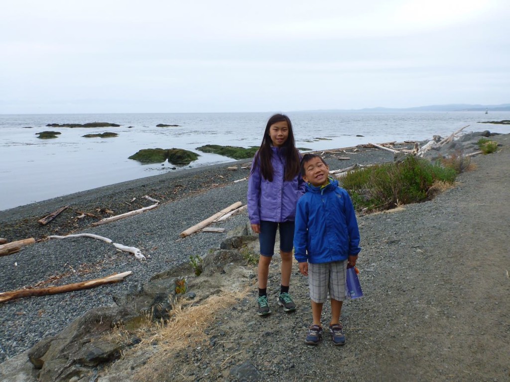 Beach by Beacon Hill Park