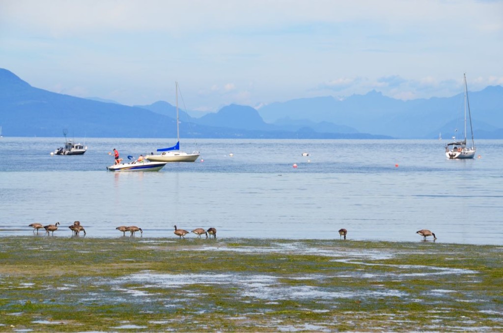 One of the beaches on Gabriola