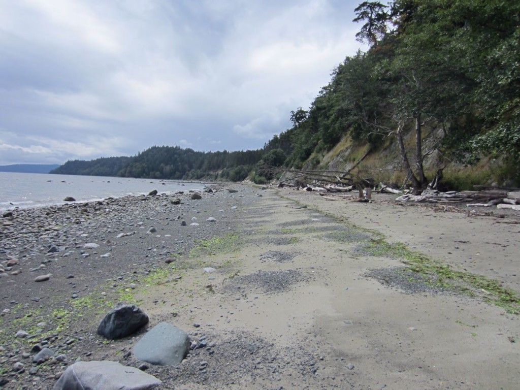 Morning Beach