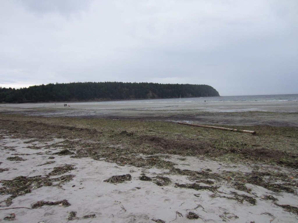 Tribune Bay