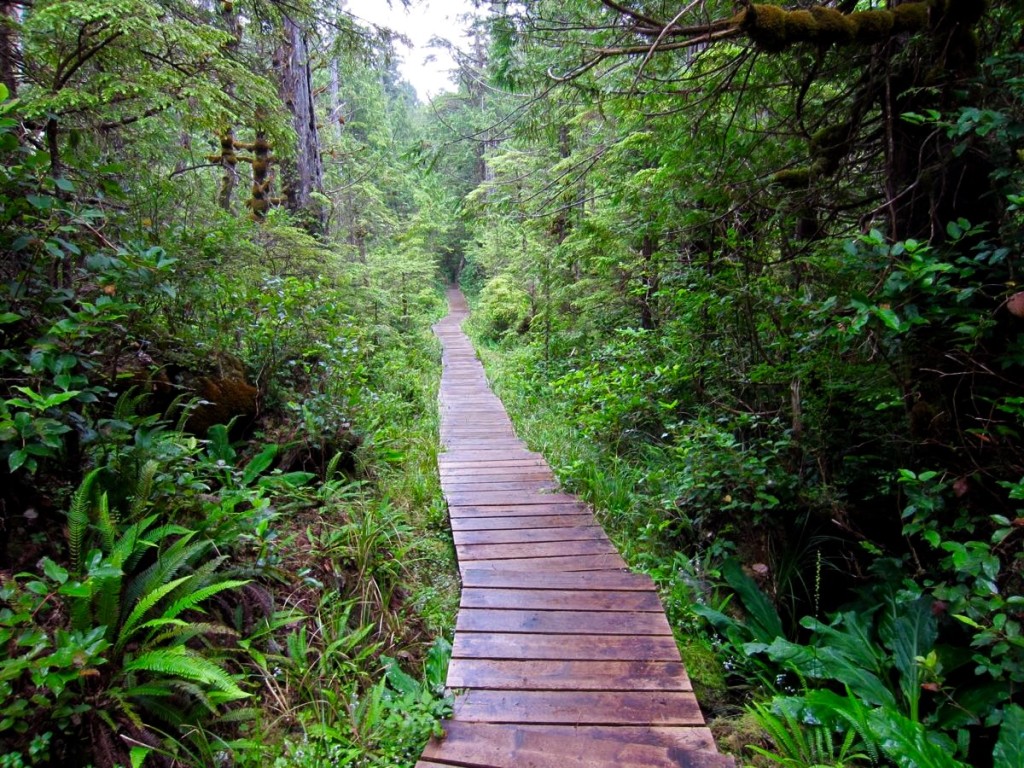 Boardwalk