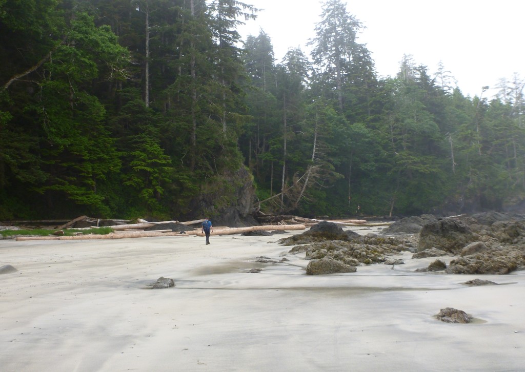 Guise Bay